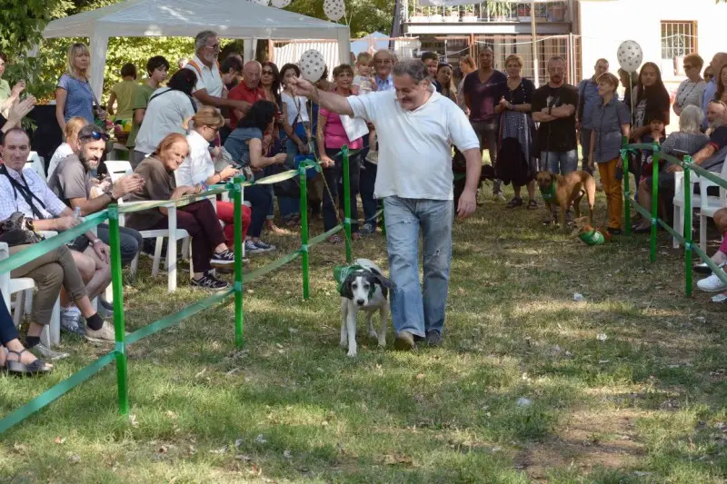 Festa del Bastardino, protagonisti a quattro zampe