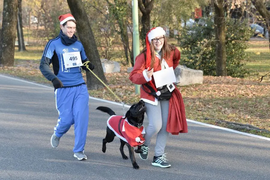 La corsa dei Babbi