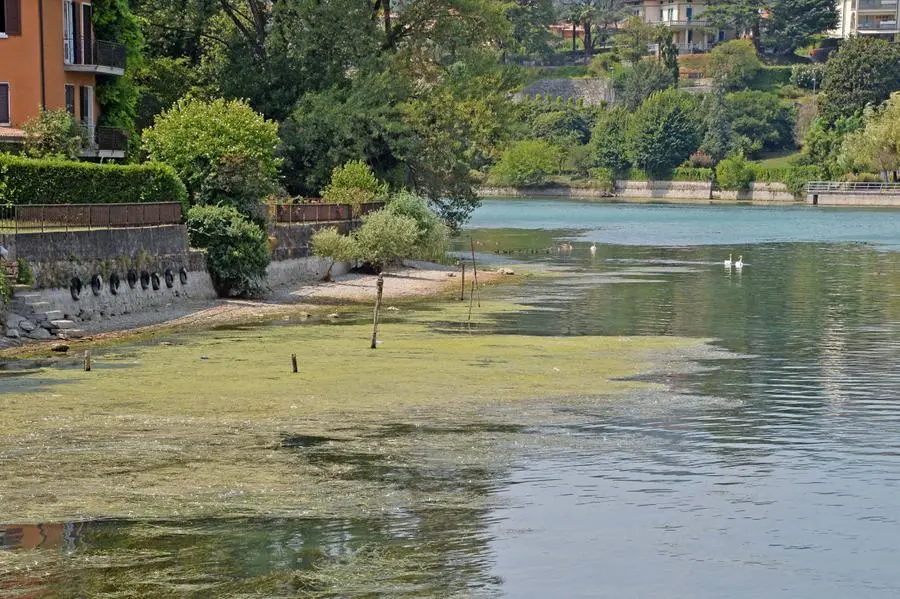 Livelli bassi nei laghi bresciani