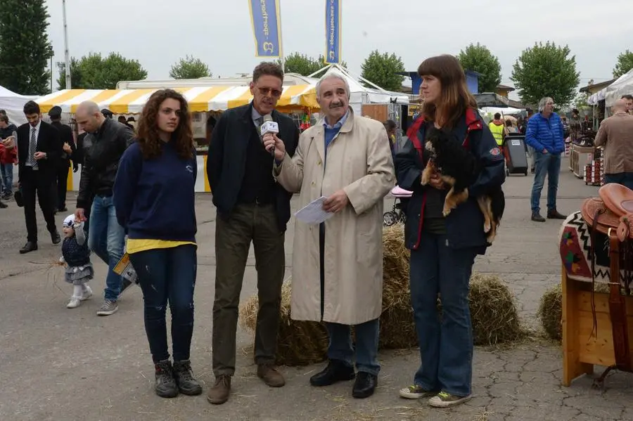 "In piazza con noi" a Travagliato Cavalli