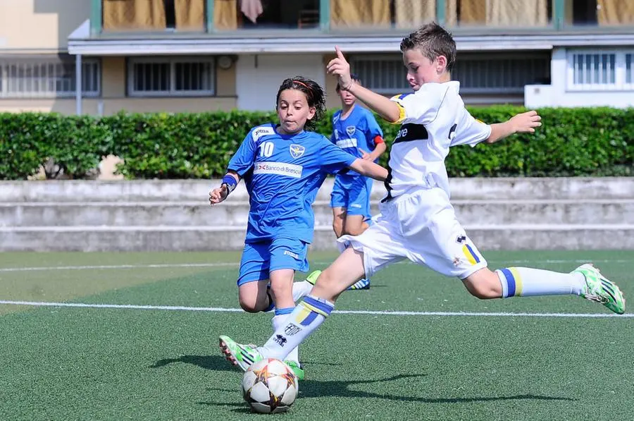 Il Brescia pigliatutto al Pettinari