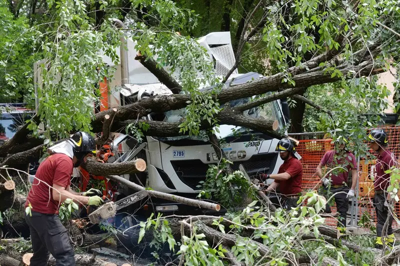 Camion abbatte albero