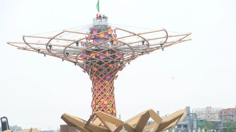 La giornata ad Expo