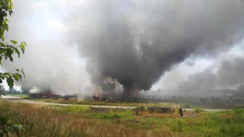 L'incendio a Travagliato - Foto Andrea Ghedi