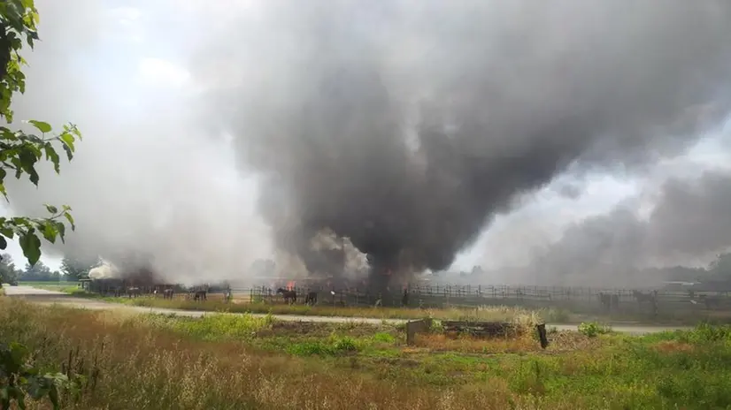 L'incendio a Travagliato - Foto Andrea Ghedi