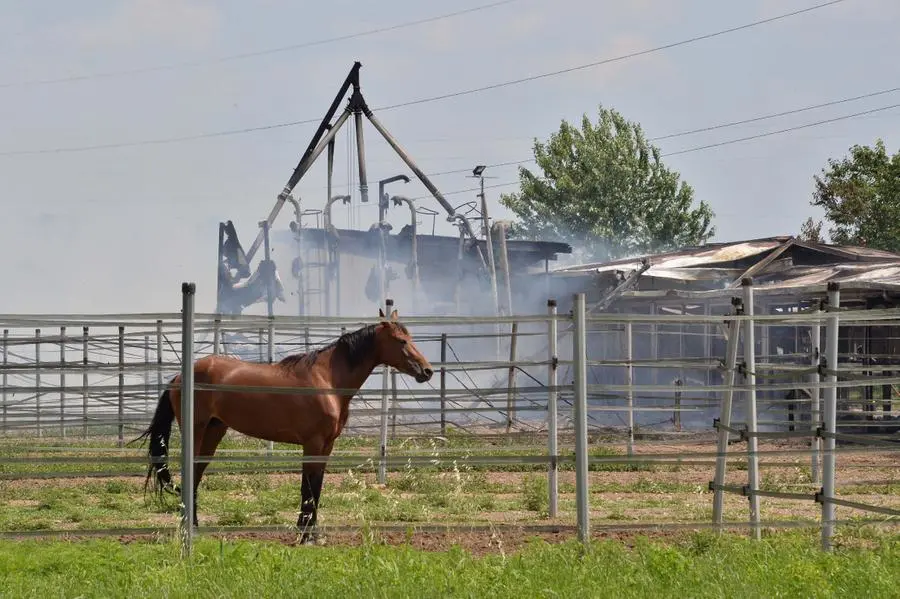 L'incendio al maneggio di Travagliato