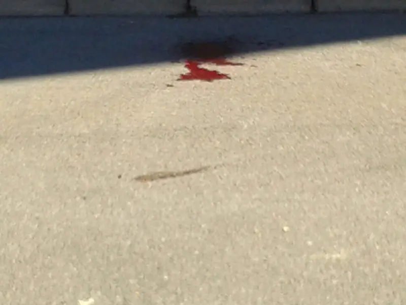 Ciclista investito a Bagnolo Mella