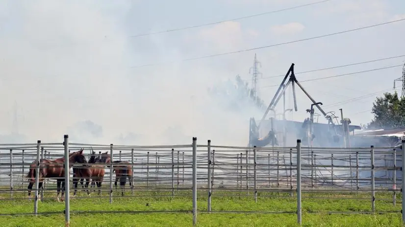L'incendio al maneggio di Travagliato
