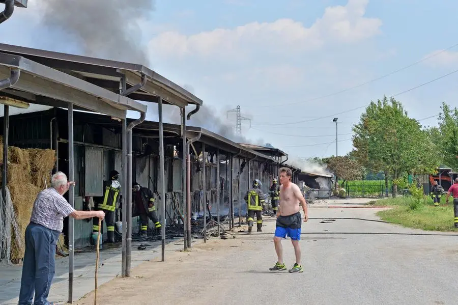 L'incendio al maneggio di Travagliato