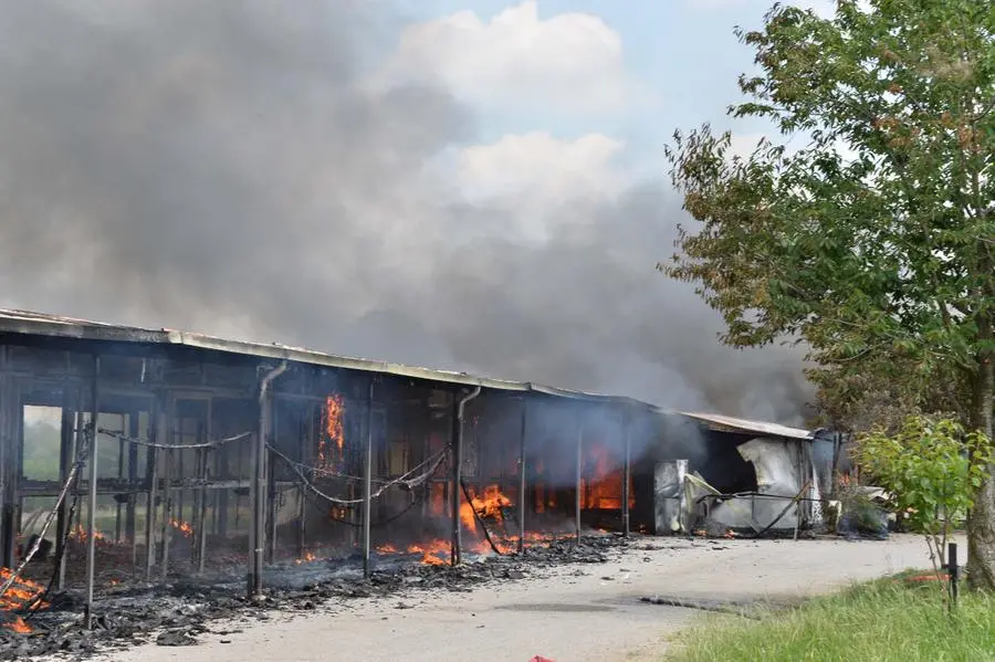 L'incendio al maneggio di Travagliato