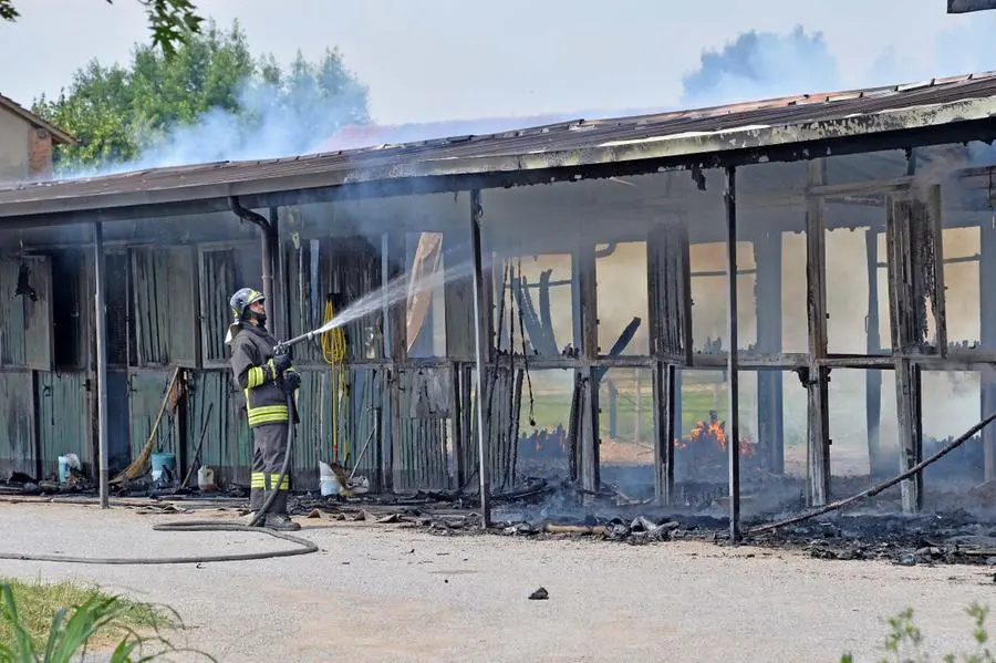 L'incendio al maneggio di Travagliato