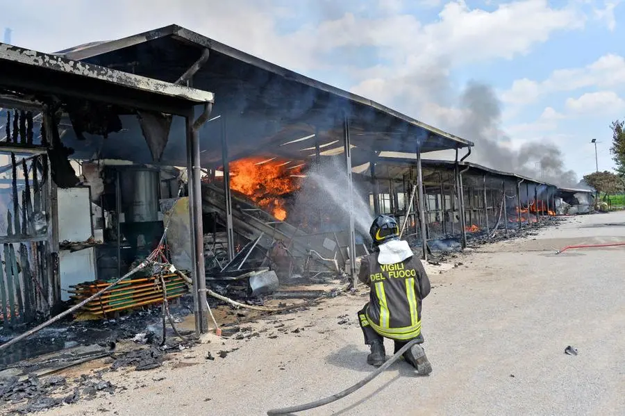 L'incendio al maneggio di Travagliato