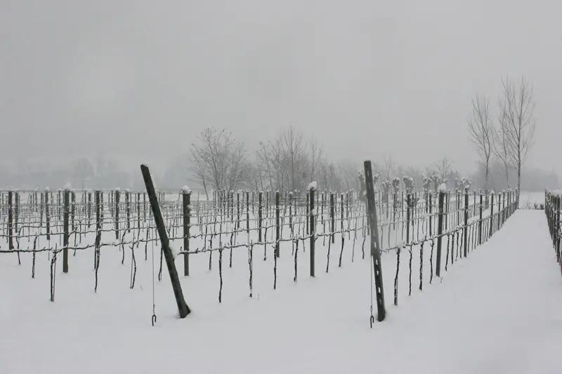 La Grande Nevicata: i ricordi dei nostri lettori