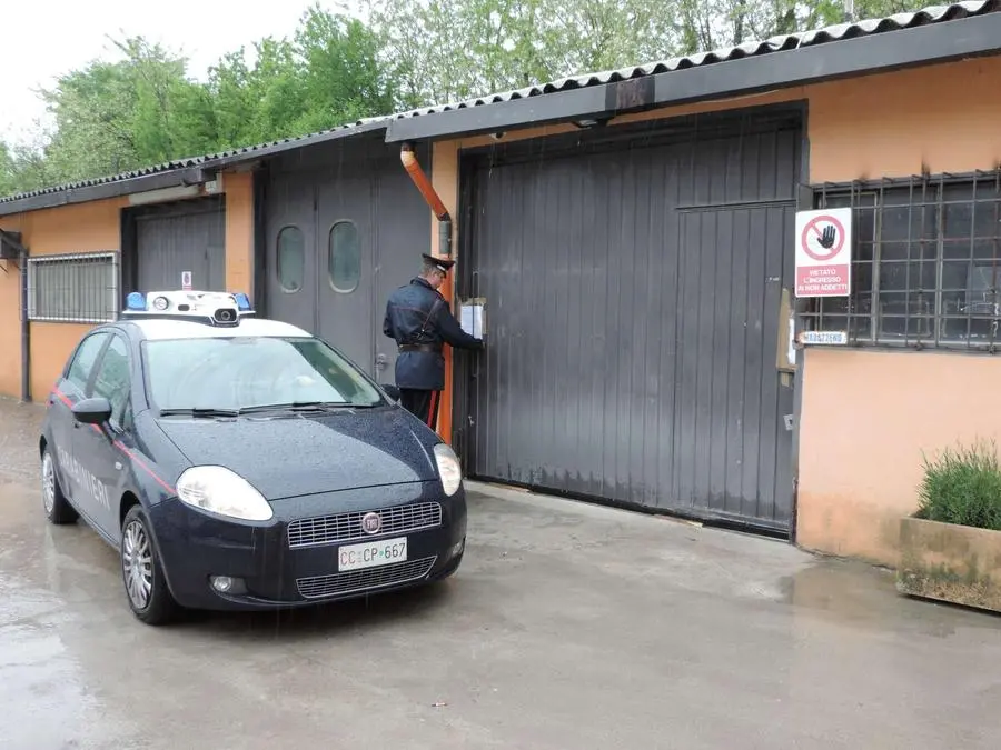 La serra scoperta dai carabinieri