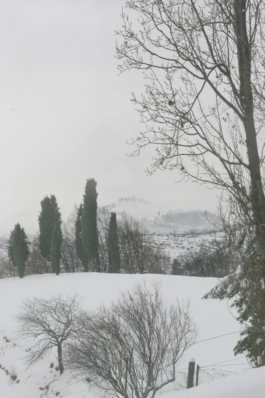 La Grande Nevicata: i ricordi dei nostri lettori