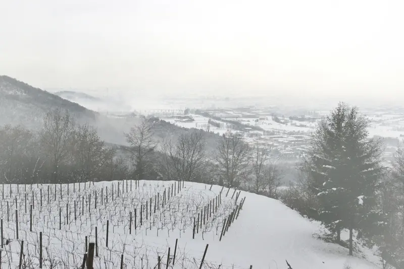 La Grande Nevicata: i ricordi dei nostri lettori