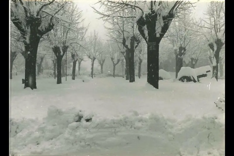 La Grande Nevicata: i ricordi dei nostri lettori