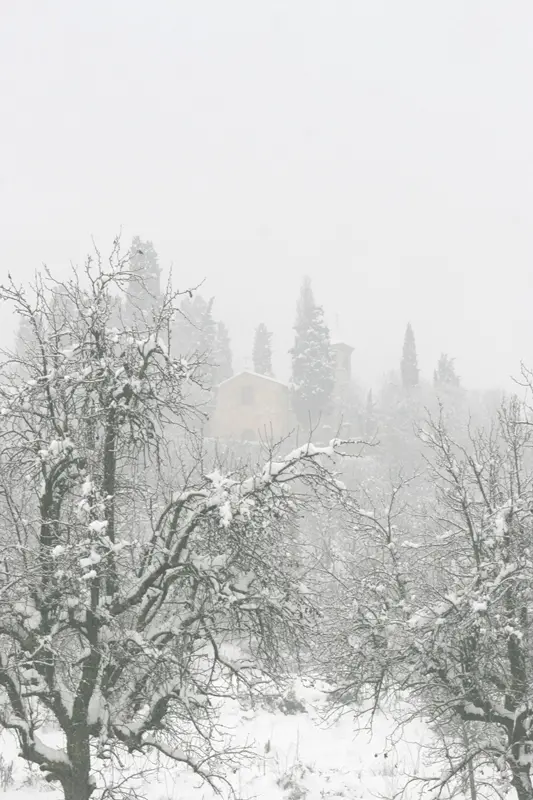 La Grande Nevicata: i ricordi dei nostri lettori