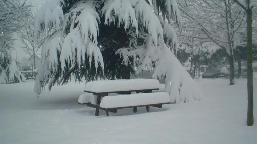 Roncadelle durante la grande nevicata del 27 gennaio 2006 - fotografia di Stefano Masneri