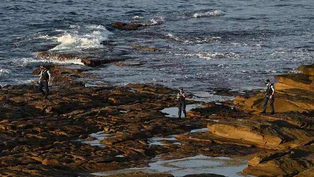 Giovane attaccata da uno squalo nel porto di Sydney, è grave | Giornale