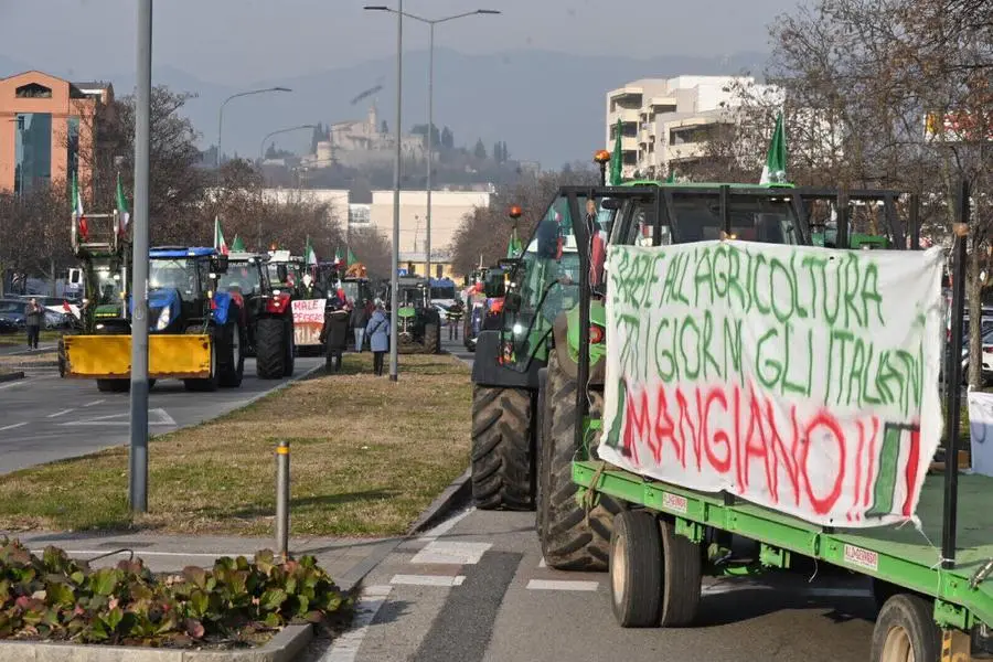 I trattori in protesta nelle vicinanze della sede di Coldiretti