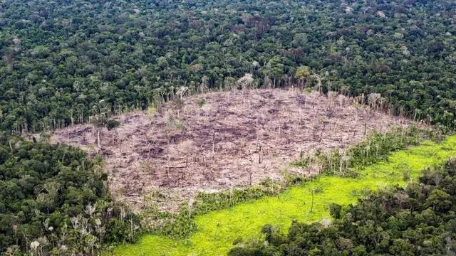 Le immagini catturate per Greenpeace dal fotografo Daniel Beltra mostrano ampie zone di foresta in pericolo, con evidenze della presenza di attività umane, come l'estrazione di oro e presenza di strade. Intorno al confine delle Conservation Units, sono inoltre visibili anche tracce di recente deforestazione e alcune aree bruciate da poco, probabilmente per lasciare spazio a nuove aziende agricole o all?industria del legno. Lo stato di Amazonas ospita la più grande area continua di Foresta Amazzonica e ancora molte aree di foresta intatta. Se queste dovessero essere distrutte, spiega Greenpeace, molti benefici ambientali per il Pianeta andrebbero perduti. Nel solo 2016 la deforestazione nello Stato di Amazonas è cresciuta del 54% rispetto all?anno precedente, 3 marzo 2017. ANSA/UFFICIO STAMPA GREENPEACE +++ANSA PROVIDES ACCESS TO THIS HANDOUT PHOTO TO BE USED SOLELY TO ILLUSTRATE NEWS REPORTING OR COMMENTARY ON THE FACTS OR EVENTS DEPICTED IN THIS IMAGE; NO ARCHIVING; NO LICENSING+++