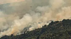 epa11116363 An airplane flies over a fire on a hillside near Bahia Rosales in Los Alerces National Park, located in the Patagonian province of Chubut (south), Argentina, on 29 January 2024 (Issued 31 January 20024). The forest fire that has been affecting Los Alerces National Park, a UNESCO World Heritage Site, and the Patagonian province of Chubut since 25 January, has already burned 2,300 hectares, official sources from the park's intendancy and those in charge of the extinction work informed.  EPA/FRANCO CITRONI