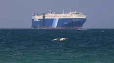 epa11012838 A bird flies past the Galaxy Leader cargo ship, seized by the Houthis offshore of the Al-Salif port on the Red Sea in the province of Hodeidah, Yemen, 05 December 2023. The Galaxy Leader ship, reportedly linked to an Israeli businessman, was seized and re-routed to offshore of the Yemeni port of Al-Salif by the Houthis on 19 November 2023 in retaliation for Israel's airstrikes on the Gaza Strip, according to statements by the Houthis. The ship, carrying around 25 crew members belonging to various nations, was seized as it was on its way to India. The Houthis, who control most of Yemen 's Red Sea coast, have fired missiles and drones at Israel and attacked more vessels transiting the area. Thousands of Israelis and Palestinians have died since the militant group Hamas launched an unprecedented attack on Israel from the Gaza Strip on 07 October, and the Israeli strikes on the Palestinian enclave which followed it.  EPA/YAHYA ARHAB