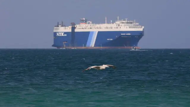 epa11012838 A bird flies past the Galaxy Leader cargo ship, seized by the Houthis offshore of the Al-Salif port on the Red Sea in the province of Hodeidah, Yemen, 05 December 2023. The Galaxy Leader ship, reportedly linked to an Israeli businessman, was seized and re-routed to offshore of the Yemeni port of Al-Salif by the Houthis on 19 November 2023 in retaliation for Israel's airstrikes on the Gaza Strip, according to statements by the Houthis. The ship, carrying around 25 crew members belonging to various nations, was seized as it was on its way to India. The Houthis, who control most of Yemen 's Red Sea coast, have fired missiles and drones at Israel and attacked more vessels transiting the area. Thousands of Israelis and Palestinians have died since the militant group Hamas launched an unprecedented attack on Israel from the Gaza Strip on 07 October, and the Israeli strikes on the Palestinian enclave which followed it. EPA/YAHYA ARHAB