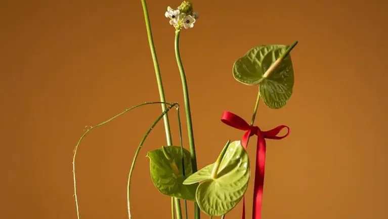 La composizione pensata per San Valentino da La Fiorellaia