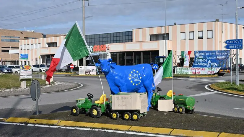 La mucca Pollon simbolo della protesta degli agricoltori al Centro Fiera di Montichiari - Foto Gabriele Strada Neg © www.giornaledibrescia.it