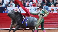 epa11130287 Mexican bullfighter Ernesto Javier Tapia, 'El calita' fights his first bull 'Miguel' weighing 495kg during the bullfight of the 78th anniversary of the Plaza de Toros Mexico, in Mexico City, Mexico, 05 February 2024.  EPA/MARIO GUZMAN