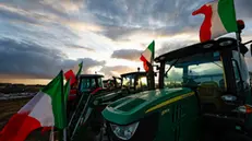 The tractors of Italian farmers of the 'Riscatto Agricolo' (Agricultural redemption) movement on a field near the Nomentana Consular road near Rome, Italy, 12 February 2024. ANSA/FABIO FRUSTACI