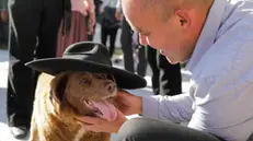 epa10625867 Leonel Costa plays with Bobi, world's oldest dog ever, during birthday party after turning 31, in rural village of Conqueiros, Leiria, central Portugal, 13 May 2023. Bobi, a purebred Rafeiro do Alentejo born in 1992 was declared by Guinness World Records as the world's oldest dog ever two months ago. Bobi's owner kept him in secret as a child after his parents said they could not keep the litter of new pups and he attributes his longevity to a diet of human food.  EPA/PAULO CUNHA