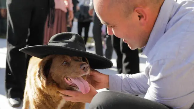 epa10625867 Leonel Costa plays with Bobi, world's oldest dog ever, during birthday party after turning 31, in rural village of Conqueiros, Leiria, central Portugal, 13 May 2023. Bobi, a purebred Rafeiro do Alentejo born in 1992 was declared by Guinness World Records as the world's oldest dog ever two months ago. Bobi's owner kept him in secret as a child after his parents said they could not keep the litter of new pups and he attributes his longevity to a diet of human food. EPA/PAULO CUNHA