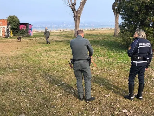 Gli agenti della Polizia locale di Sirmione controllano il parco dopo il ritrovamento di esche avvelenate
