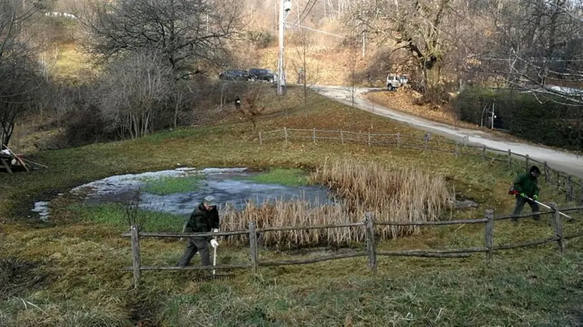 Guardie ecologiche alla pozza di Cocca per proteggere i Bufo bufo