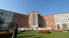 L'ospedale Civile di Brescia - © www.giornaledibrescia.it