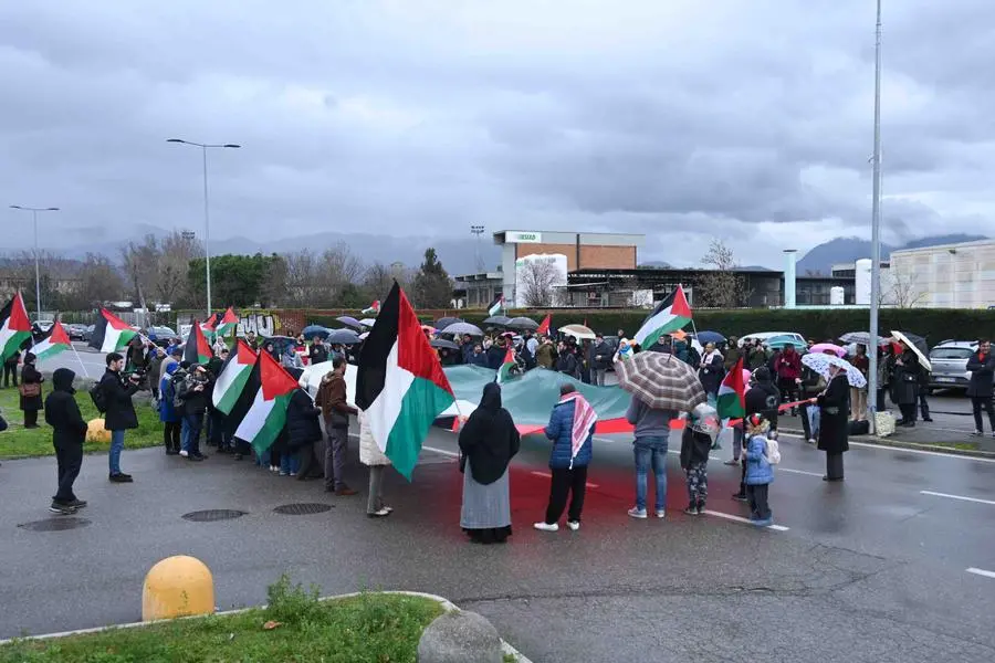 La manifestazione pro Palestina in via Lunga
