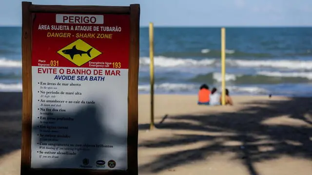 epa09416663 A sign reads 'swimming forbidden. Danger area for shark attacks' at Jaboatao dos Guararapes in Brazil, 12 August 2021 (issued 16 August 2021). Shark attacks in Boa Viagem, Piedade and Candeias in Brazil have been a danger during the last 30 years, and back in July 2021 two new cases were reported, one of them had a fatal ending. But different from what anyone might think, and despite warnings, the number of tourists visiting the area in the look for sharks continues to increase. EPA/Diego Nigro