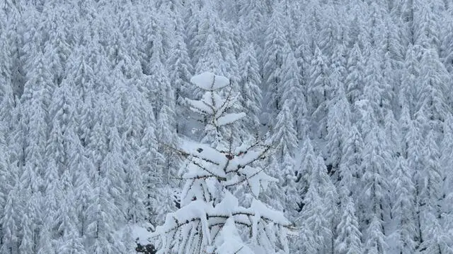 Ancora neve in Valle d'Aosta. La perturbazione è stata più intensa nella zona sud-orientale, come comunica l'Ufficio valanghe dell'amministrazione regionale. Sopra i 2.300 metri sono caduti 50-60 centimetri di neve a Cervinia, 40 centimetri a Gressoney e a Champorcher, 30 centimetri a Cogne. Aosta, 29 maggio 2013. ANSA