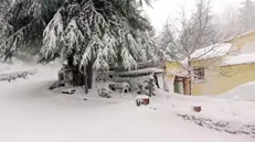 Neve sul Gennargentu
