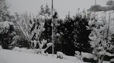 La foto mostra la stazione meteorologica di Mompiano sotto la neve il 10 marzo 2010