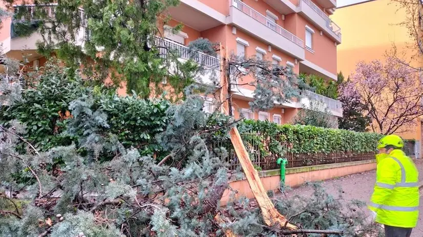 Gli interventi della Protezione civile in città