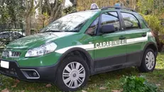 Foto auto carabinieri forestali di Catania