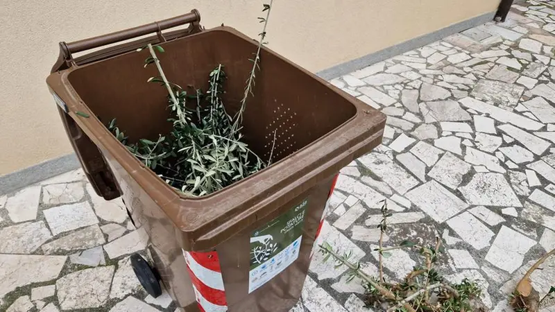 I bidoni per la raccolta porta a porta del verde - © www.giornaledibrescia.it