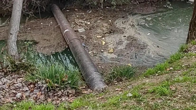 Il corso d'acqua dove sono stati trovati i pesci morti - © www.giornaledibrescia.it