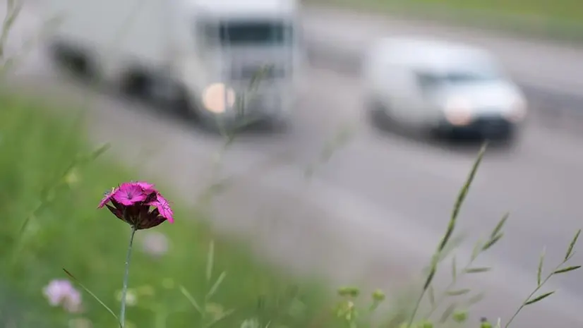 Sono scese in tutti i Comuni le concentrazioni di Pm10 nel corso del 2023