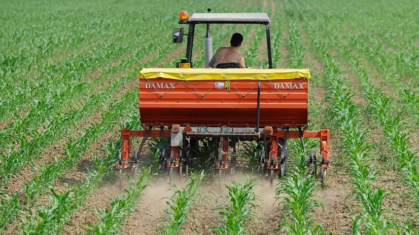 Un mezzo agricolo in un campo - © www.giornaledibrescia.it