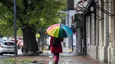 epa11231677 A person with an umbrella walks in the rain in La Plata, province of Buenos Aires, Argentina, 20 March 2024. Buenos Aires and its province woke up with an alert for strong storms and winds, which have caused material damage and the cancellation of flights at the main airports. The National Meteorological Service (SMN) raised the storm alert to orange, which implies intense rains with a fall of 50 to 90 millimeters of water with gusts of more than 90 kilometers per hour and fall of hail and a yellow alert for winds of 30 to 70 kilometers per hour with gusts of more than 100 kilometers per hour. EPA/Demian Alday Estevez